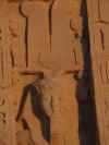 egyptjan01-07.jpg (83241 oCg)