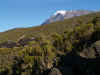 kilimanjaro0830-01.jpg (143140 oCg)