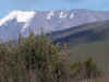 kilimanjaro0830-06.jpg (110514 oCg)
